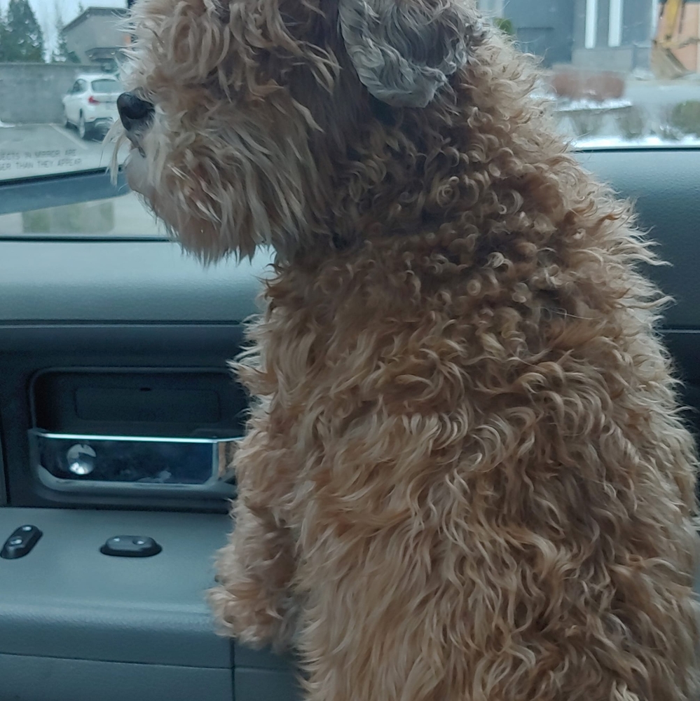 Meet your Posher, Randy